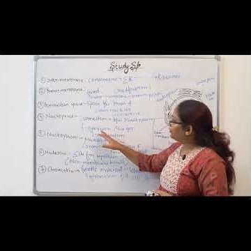 Inside the Cell Nucleus | Parts, Functions & Structure Explained! #biology #ytshorts #shorts