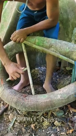 Trap Survival #trap #survival #outdoors #forest #skills #camping #tips #challenge #trap #skills #reels #hunting #alamliar #fores #nature #wildlife #photography #ontario #trav | Creative 1M