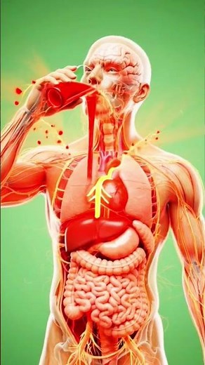 Watermelon Juice Benefits Explained in 3D | Hydration, Energy & Digestion