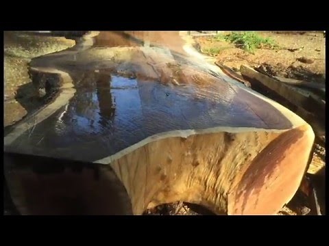 Milling BLACK WALNUT!