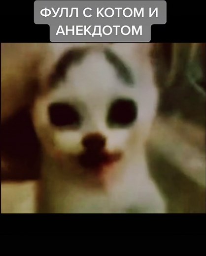 Чёрный сталкер с котом: прикольные анекдоты и мемы