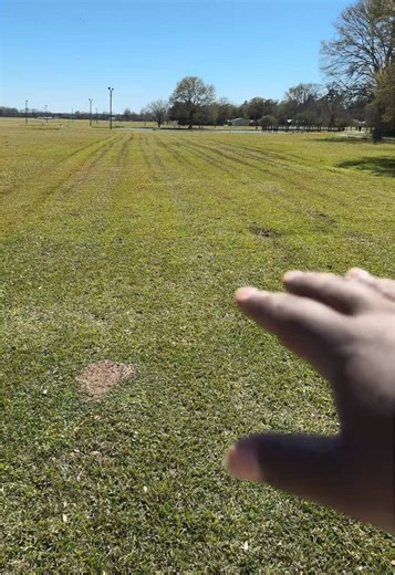 Effective Lawn Care Tips for Wet Conditions