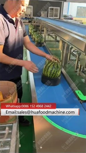 No Damage Water Melon Weight Grading Machine With Fruit Tray Delivery
