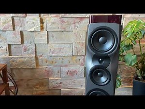 Dynaudio Confidence 30 + Unison Research S6