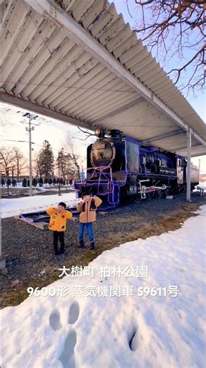 大樹町・柏林公園 9600形 蒸気機関車 59611号