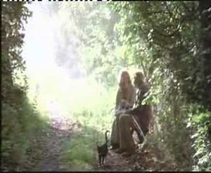 9 1/2 weeks kim basinger