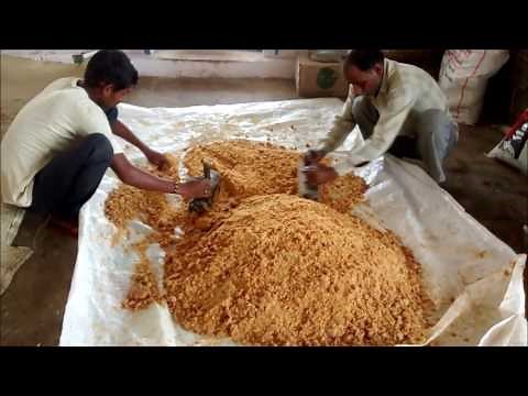 Organic jaggery powder manufacturing process (panela sugar) (Muscovado sugar)
