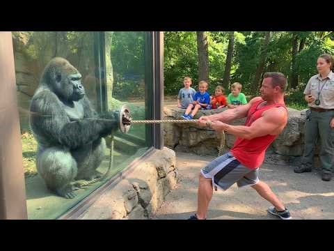 ¡Animales Tan Graciosos que No Podrás Parar de Reír! 😂 Los Animales Más Divertidos de 2026