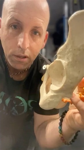 318K views · 5.7K reactions | Quickly RESET Your Hips!! 勞 This is awesome and could help you prevent SURGERY!! NEW RELEASE The Book of Painless Exercise here are the links for the BUNDLE AND DIGITAL OPTIONS, Digital - https://www.romfit.com/products/pnlexdg Bundle - https://www.romfit.com/products/pnlbundle Become a Better Human #becomebetterhuman Become a Better Human | Range of Motion | Facebook