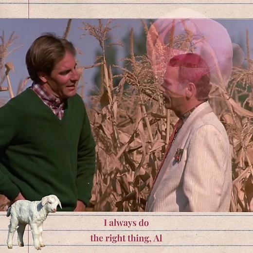 qleap edits on TikTok