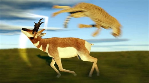 How jaguars compare to cougars, lions, and leopards