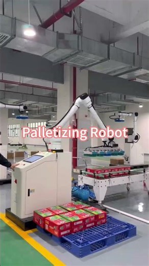 Fully Automatic Palletizing Robot | High-Speed Stacking for Factories & Warehouses