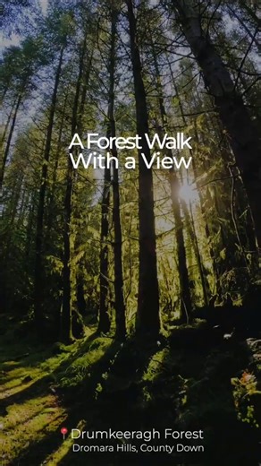Drumkeeragh Forest Viewpoint Trail - Walk in the Dromara Hills, County Down