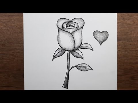 Gül resmi nasıl çizilir - Kolay çiçek çizimi - Yeni başlayanlar için adım adım öğretici çizim