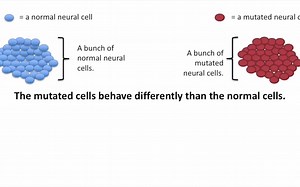 6.02-RNA Sequencing Methodology