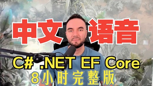 EF Core8中文语音教程（8小时完整版）