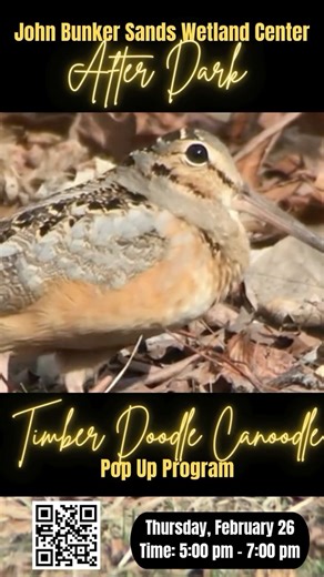 John Bunker Sands Wetland Center on Instagram: "*MEEP* Join us on Thursday, February 26 for Timberdoodle Canoodle, an after hours pop-up event centered around the American woodcock, also known as the timberdoodle! Learn about this elusive bird, then take a stroll into the wetland to hopefully spot one. The program will run from 5-7pm, but please arrive by 4:45pm. Tickets are $15, please register at the link in our bio. *MEEP*"