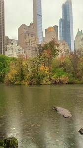 409K views · 10K reactions | Walking in Central Park, New York City  | New York City 4K | Facebook