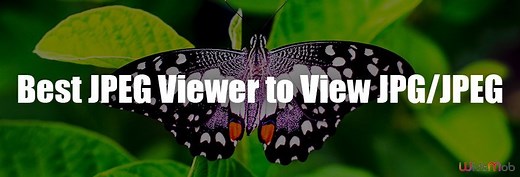 7 лучших средств просмотра JPEG для просмотра файлов JPEG, которые вы не можете пропустить в 2023 году