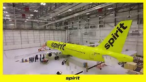 Stars come out for 'Dumbo' premiere