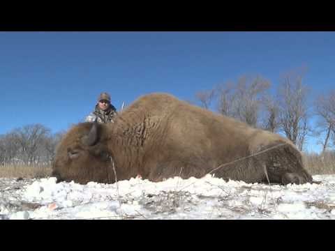 Jim River Guide Service, The Ultimate Guided Experience