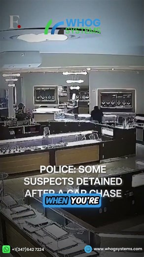 WHOG Systems delivers integrated security that goes beyond cameras.