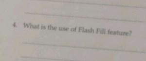 4. What is the use of Flash Fill feature?... | Filo