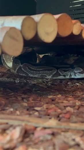 Meet my Best Friend for the last 20 years