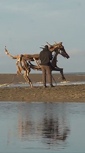 51K views · 294 reactions | What goes up must come down!  | BM Sculptures | Facebook