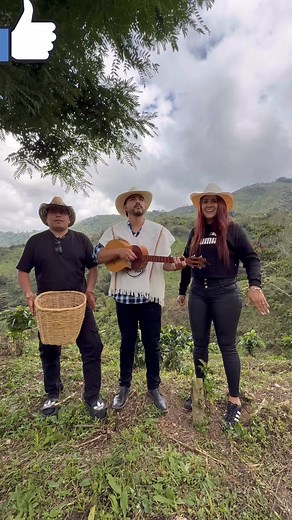 El Barranquero de Pijao Quindio | Rima Y Son