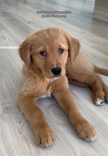 TikTok - Make Your Day