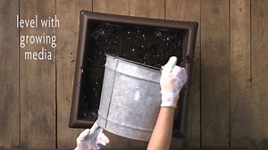 Watch How to Set Up an EarthBox Root & Veg on Amazon Live