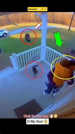 Great saves 😍 humanity #short #shorts #status #shortsfeed