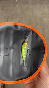 🎣🎁Our most popular Father’s Day gift 3 years in a row!👨‍🦳 1 - Stop tangles and hooks getting caught 2 - Suits all soft plastics and hard body lures 3 - Quick and easy Protect your ✋, 👀 , 🚗 and 🛥️ ⭐ 40,000 anglers trust it 📦 Fast shipping 💯 100% Money-Back Guarantee 👉 Get LureShield now—before they sell out again! | Rod Armour