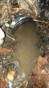 Watch Works perfectly on Amazon Live