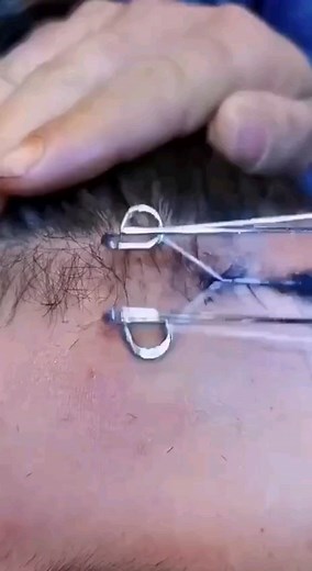 Simple Hairstyles & Tips on Instagram: "Perfect hair hack 🤩🤩 . Credit unknown DM me for Credit or remove please . #hairstyle #tutorialvideo #hairtransformation #hairglamvideos #prettyhairstyles #hairstyleideas #hotd #hairdecoration #hairstyletutorial #braidoftheday #hairtutorialvideo #hairvideoshow #hairvideoshow #braidtutorial #videohair #braidsofinstagram #cutehairstyles #hairoftheday #hairideas #hairvideotutorial"