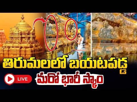 LIVE🔴: తిరుమలలో బయటపడ్డ మరో భారీ స్కాం.. | TTD 50 kg of Gold Stolen..? | Red TV