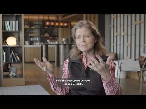 What is innovation? | About REAP