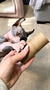 14K views · 57 reactions | ✨ How to make a cat toy in just 2 minutes  Follow for more — I’ve got plenty of ideas for pets  and home Would you make this toy for your kitty? Share in the comments #cat #diy | TatiDemo | Facebook