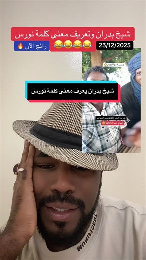 معنى كلمة نورس وطرائف عن بدران