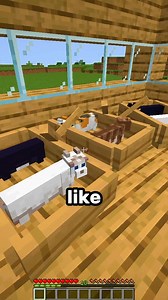 Minecraft Cat Glitch_! ⛏💎 #minecraft #minecraftmods #minecraftmemes #minecraftpe #minecraftbuilds | Game Of Minecraft