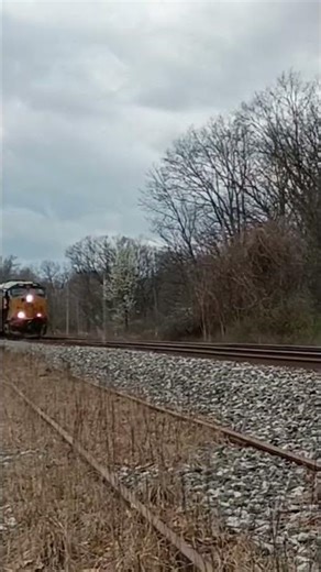 csx Autorack train