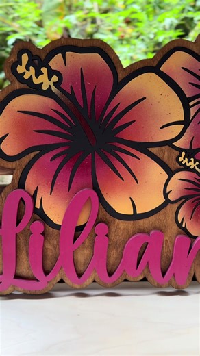 Custom Color Ideas for Senior Signs