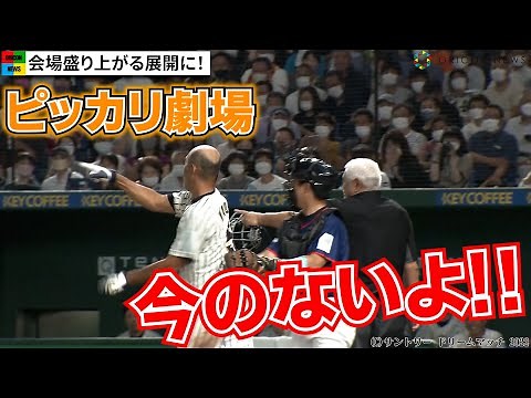 菜々緒が始球式～和田一浩“ピッカリ乱闘”からのホームラン！！ 「サントリードリームマッチ」ハイライト