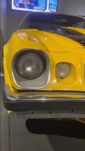 The Original Bumblebee!?