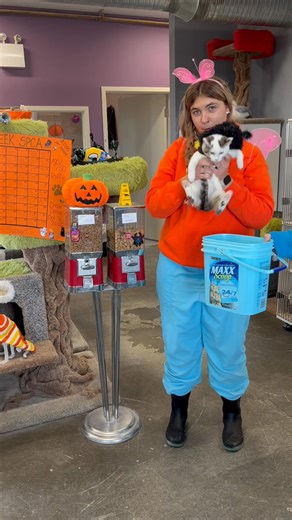 Pincher Creek Humane Society on Reels