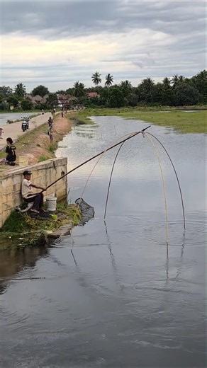 Catching fish using traditional tools #daily #nature #fishing