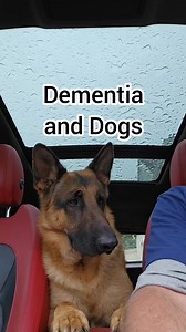 1.2M views · 10K reactions | This is why God spelled backward is Dog. #alzheimers #alzheimersawareness #alzheimerssucks | Mike W Lalicich | Facebook