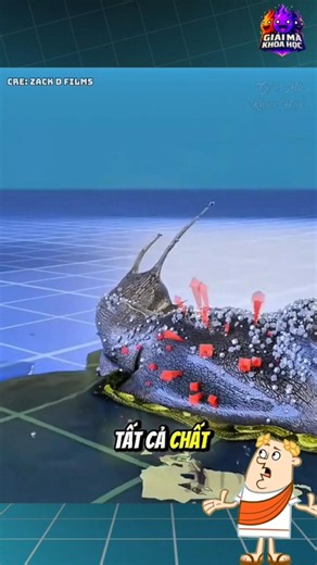 WHAT HAPPENS IF YOU POUR SALT ON A SLUG?