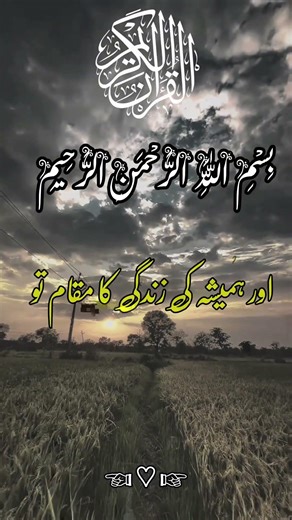 Islamicvideo94❣️